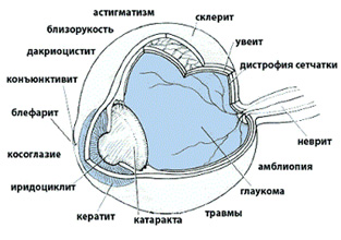Ногинск телефоны больниц